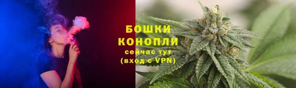 тгк Богородск