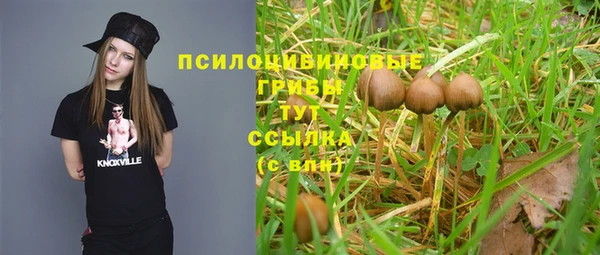 тгк Богородск