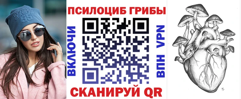 Псилоцибиновые грибы GOLDEN TEACHER  как найти   KRAKEN как зайти  Озёрск 